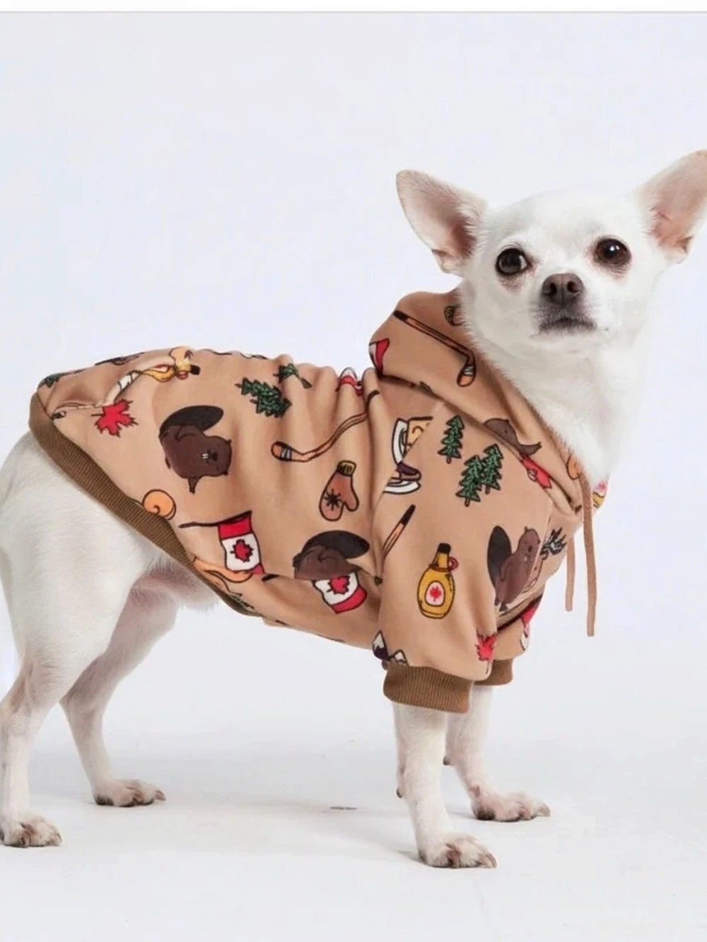 Spark Paws The Canada Dog Hoodie Brown & White Medium